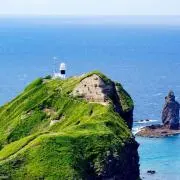 sakiの画像