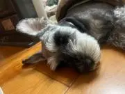 洋次郎