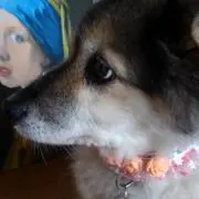 リボンちゃんの画像