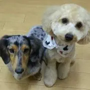 ちぃ