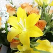 ☆イエロー☆の画像