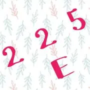 225E