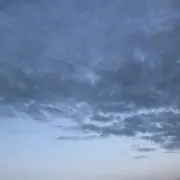ほみんの画像