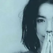 いがらしの画像
