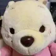 初秋のセール！プーみょん☆プロフ読んでねの画像