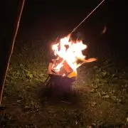 トラミミ