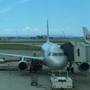 mittu3232の画像