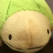 ねこちゃんの画像