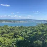 高崎 愛海の画像