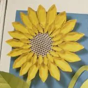 ひまわりの画像
