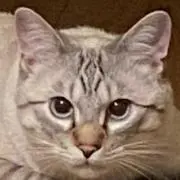 まー