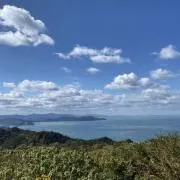 TooO‥即購入OK✨の画像