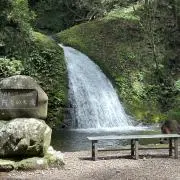 hayaの画像