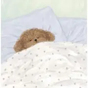 ハルサメの画像