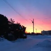 トミー