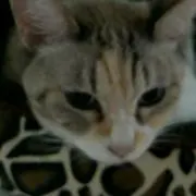 SORA☆