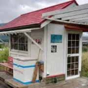 雪だるまの画像