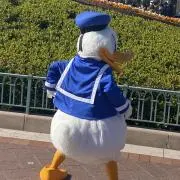 おもちの画像