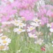 るの画像