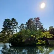タケフの画像