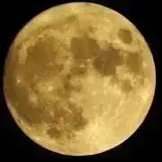まるも