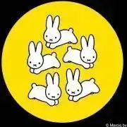 ドナルド　即購入⚪︎の画像