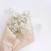 dlikeの画像