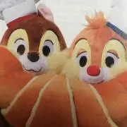 あやぴち