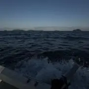 りゅうと
