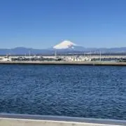 フナ