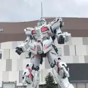 kotaの画像