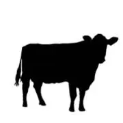 beefの画像
