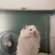 ゆんの画像