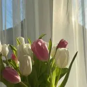プロフ必読 ☁️ 購入後一言お願いしますの画像