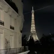 凛の画像