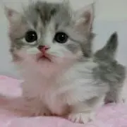 bono交渉OKの画像
