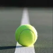 なおき