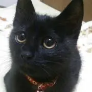 み。