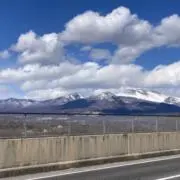 グミの画像