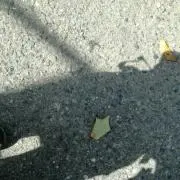 no smoke no petの画像