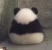 らりるちゃんの画像