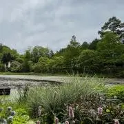 ちの画像