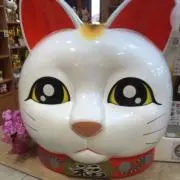 PUKIの画像