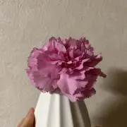 ひろちゃんの画像