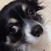 ポロン