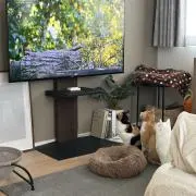 むぎの画像