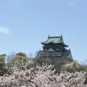 akkoの画像