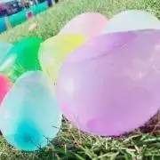 らんの画像