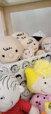 たぬきちくんの画像