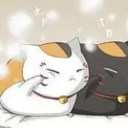 ポン太の画像